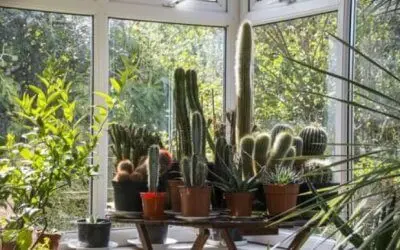 Conservatory Design 2018